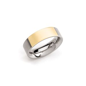 Boccia Titanium Band with Goldplated Section - 0101-04 Boccia Titanium Band with Goldplated Section - 0101-04